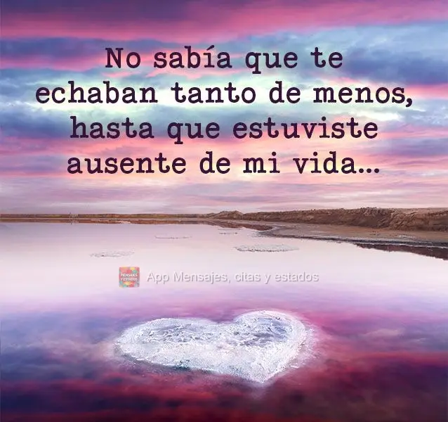 No sabía que te echaban tanto de menos, hasta que estuviste ausente de mi vida…
