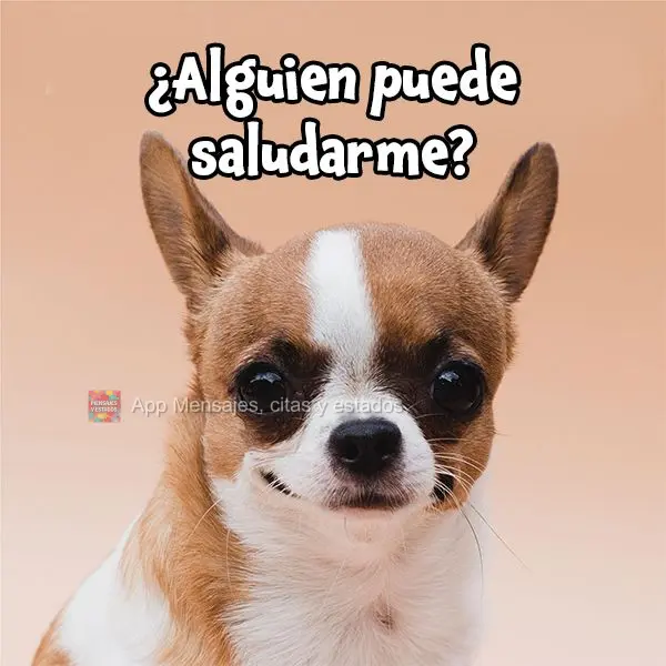 ¿Alguien puede saludarme?