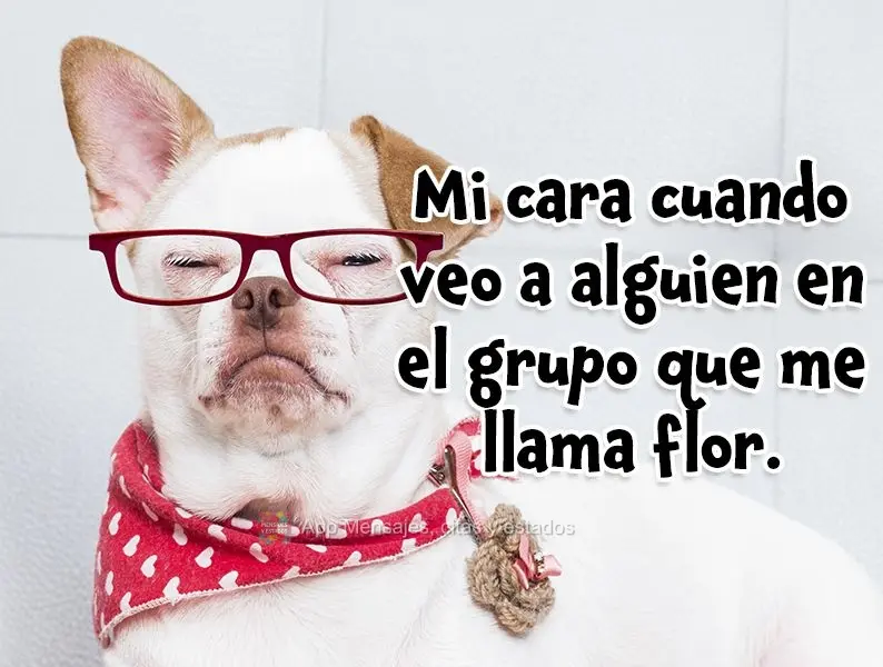 Mi cara cuando veo a alguien en el grupo que me llama flor.