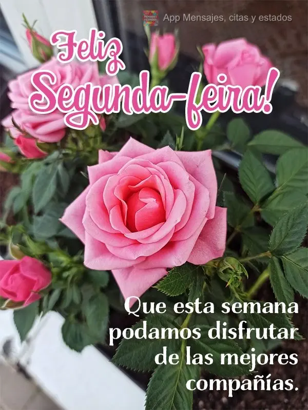 Que esta semana podamos disfrutar de las mejores compañías. ¡Feliz lunes!