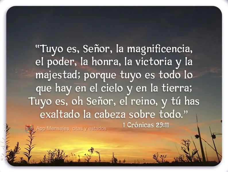 “Tuyo es, Señor, la magnificencia, el poder, la honra, la victoria y la majestad; porque tuyo es todo lo que hay en el cielo y en la tierra; Tuyo es, ...