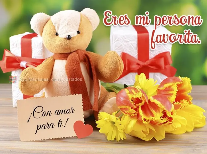 Você é a minha pessoa favorita. Com carinho pra você!