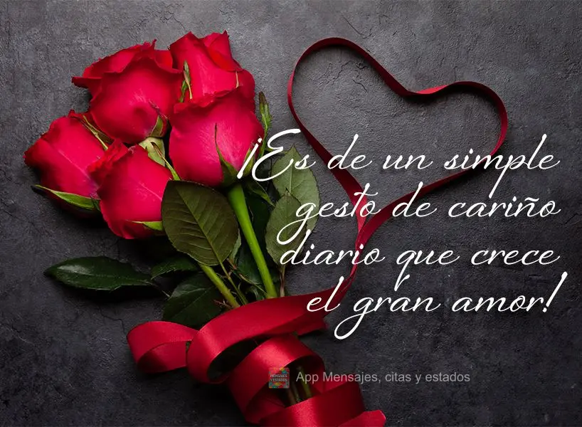 ¡Es de un simple gesto de cariño diario que crece el gran amor!