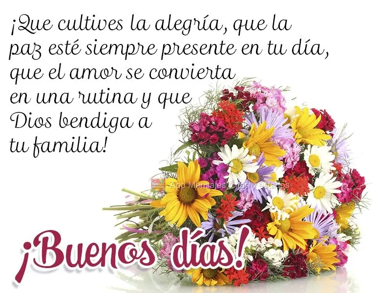 ¡Que cultives la alegría, que la paz esté siempre presente en tu día, que el amor se convierta en una rutina y que Dios bendiga a tu familia! ¡Bueno...