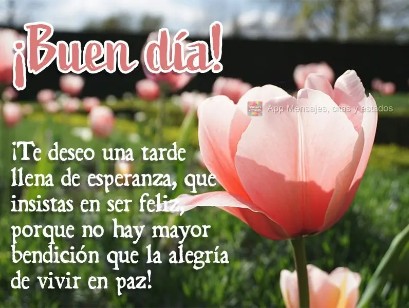 Desejo uma tarde repleta de esperança, que você persista em ser feliz, porque não há bênção maior que a alegria de viver em paz! Boa tarde!