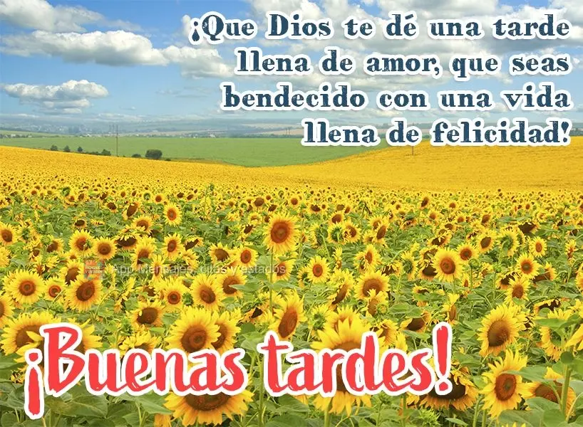 Que Deus lhe entregue uma tarde repleta de amor. Que você possa ser abençoado com uma vida cheia de felicidade! Boa tarde!