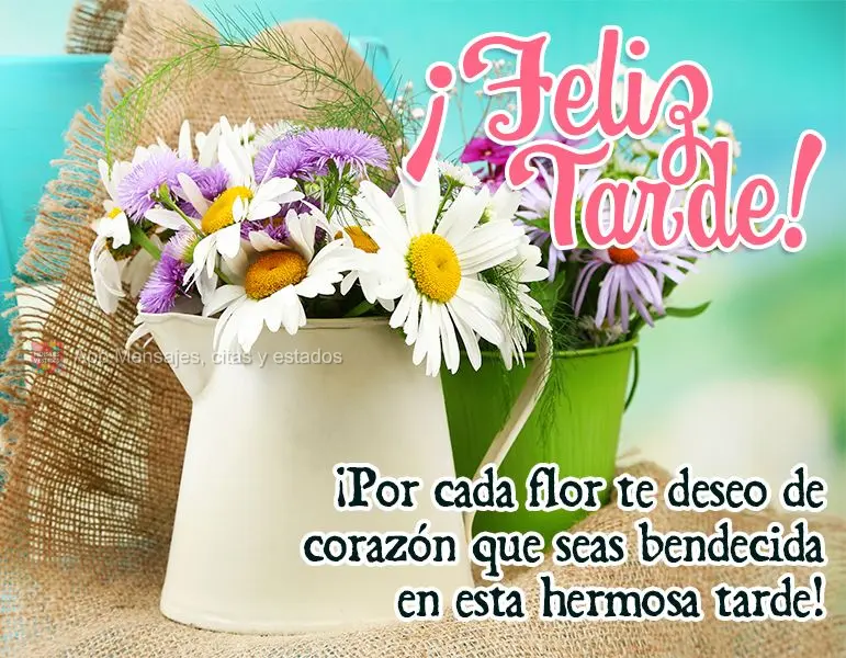 ¡Por cada flor te deseo de corazón que seas bendecida en esta hermosa tarde! ¡Feliz tarde!