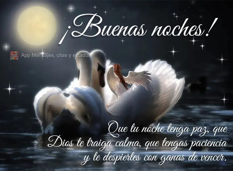 Que a noite seja de paz. Que Deus lhe traga calma, que você tenha paciência e acorde com gana de vencer. Boa noite!