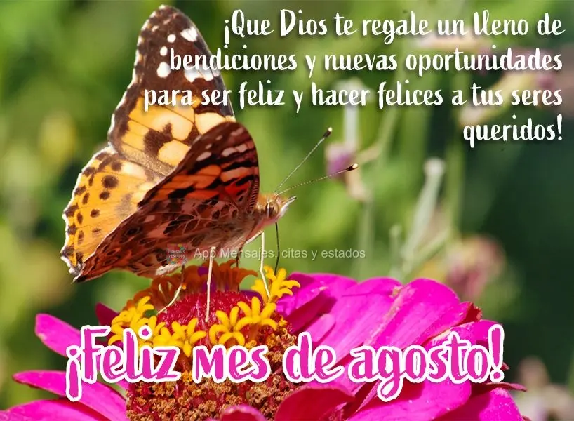 ¡Que Dios te regale un lleno de bendiciones y nuevas oportunidades para ser feliz y hacer felices a tus seres queridos! ¡Feliz mes de agosto!