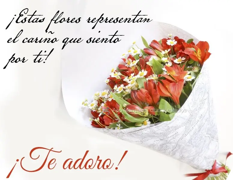 ¡Estas flores representan el cariño que siento por ti! ¡Te adoro!