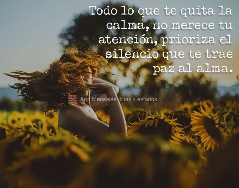 Tudo que tira tua calma não merece sua atenção. Priorize o silêncio que é o que traz paz para a alma.