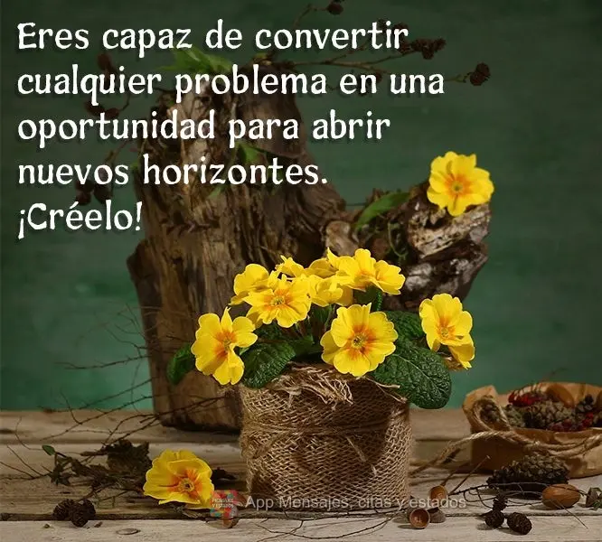 Você é capaz de transformar qualquer problema em uma oportunidade para abrir novos horizontes. Acredite!