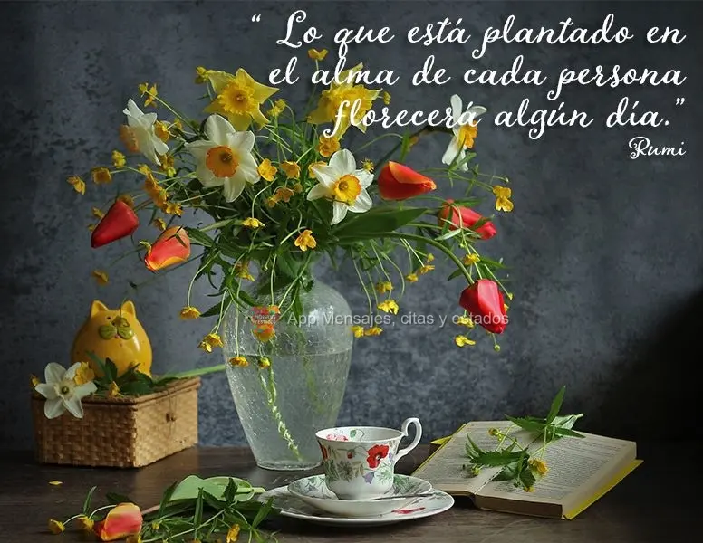 “O que é plantado na alma de cada pessoa um dia irá florescer.” Rumi