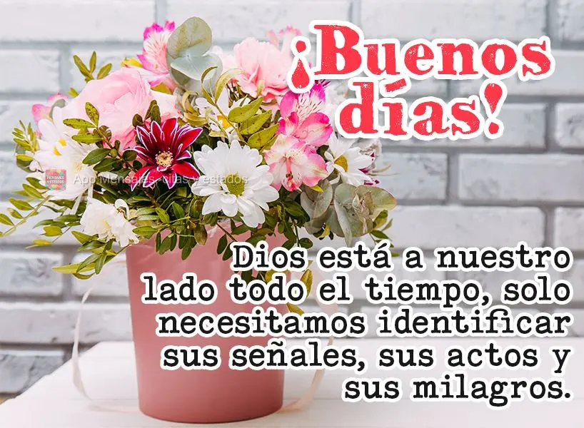 Deus está ao nosso lado o tempo todo, apenas precisamos identificar o seus sinais, seus atos e seus milagres. Bom dia!