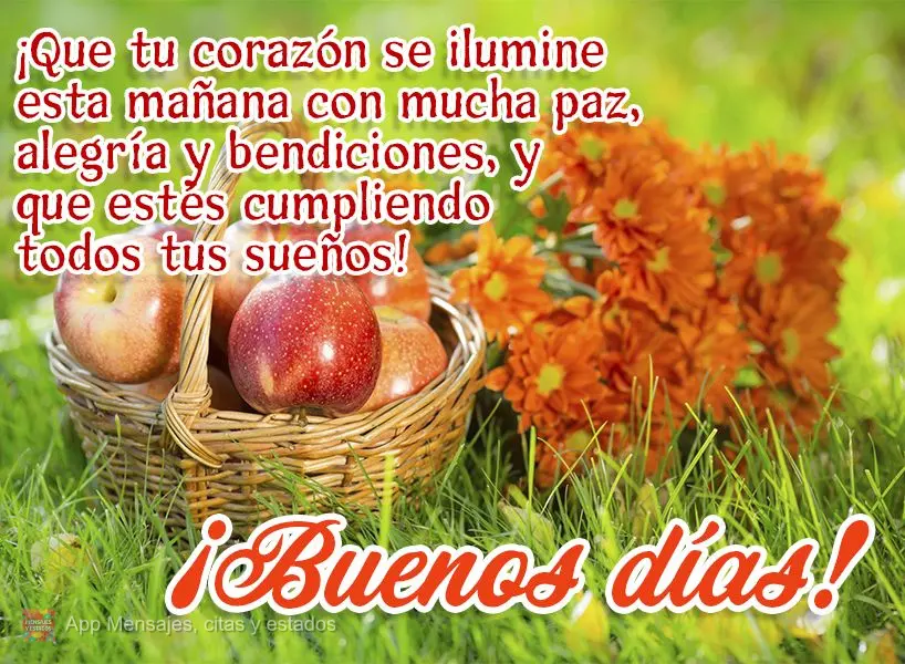 Que seu coração seja iluminado nesta manhã com muita paz, alegria e bênçãos. Que você possa realizar todos os seus sonhos! Bom dia!