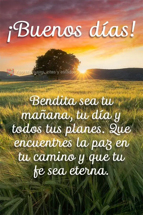 Bendita sea tu mañana, tu día y todos tus planes. Que encuentres la paz en tu camino y que tu fe sea eterna. ¡Buenos días!