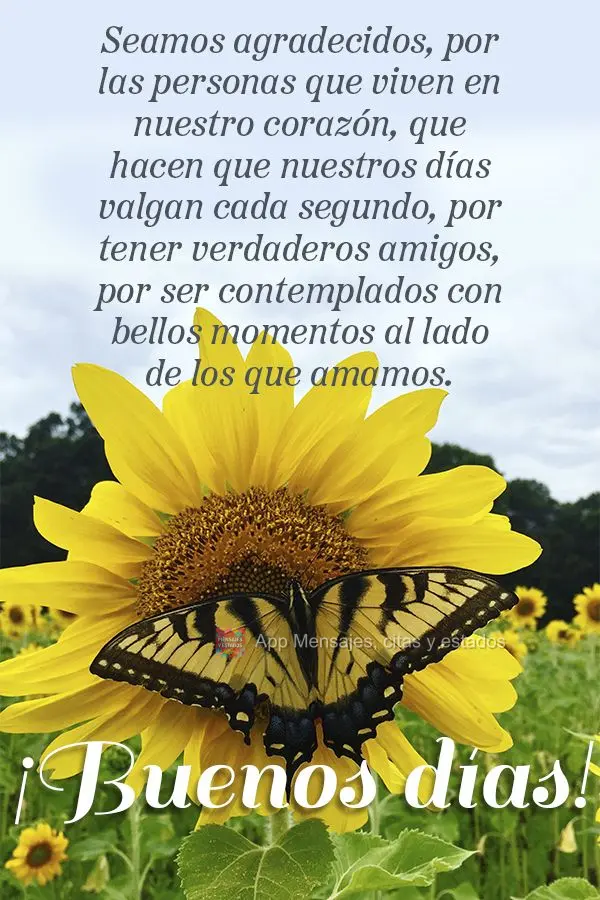 Sejamos gratos pelas pessoas que habitam em nossos corações, que fazem  nossos dias valerem cada segundo, por termos amigos verdadeiros, por sermos con...