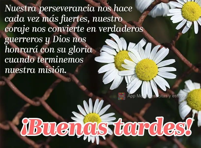 Nossa persistência nos torna cada vez mais fortes, nossa coragem faz de nós verdadeiros guerreiros e Deus nos honrará com sua glória quando terminarm...