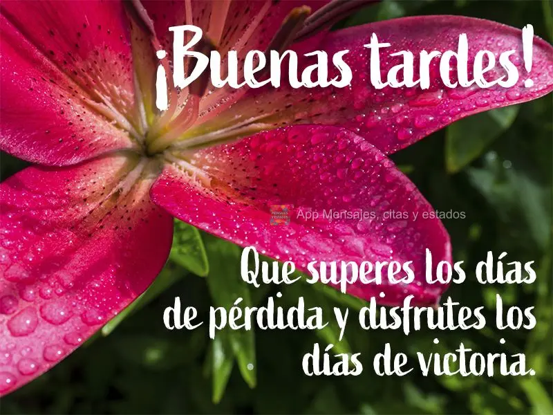 Que você supere os dias de perda e aprecie os dias de vitória. Boa tarde!