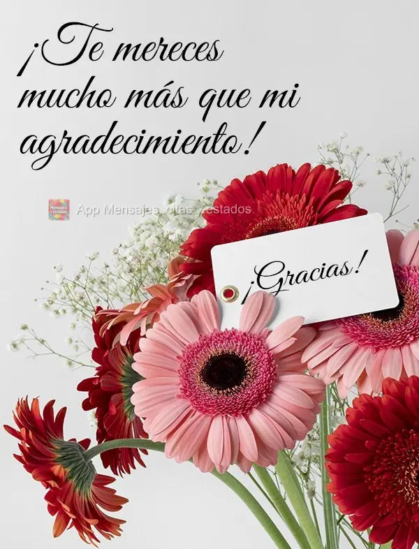 ¡Te mereces mucho más que mi agradecimiento! ¡Gracias!