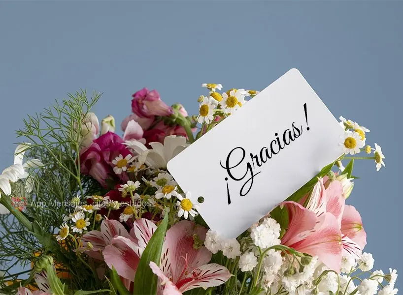 ¡Gracias!