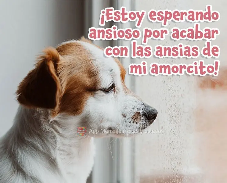 ¡Estoy esperando ansioso por acabar con las ansias de mi amorcito!