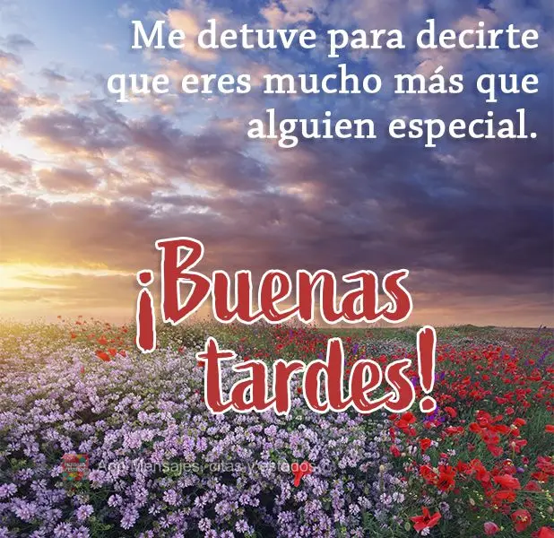 Passei aqui pra dizer que você é muito mais do que alguém especial. Boa tarde!