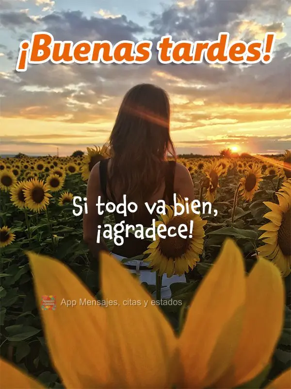 Se tudo estiver dando certo, agradeça! Boa tarde!