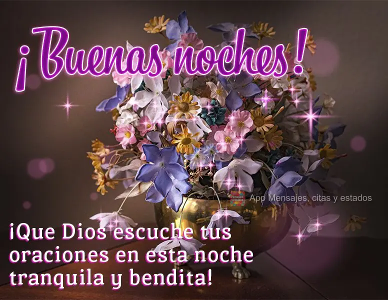 ¡Que Dios escuche tus oraciones en esta noche tranquila y bendita! ¡Buenas noches!