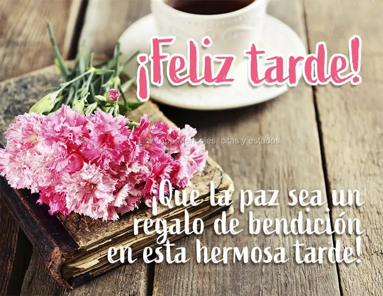 Que a paz seja uma bênção presente nesta linda tarde! Feliz Tarde!