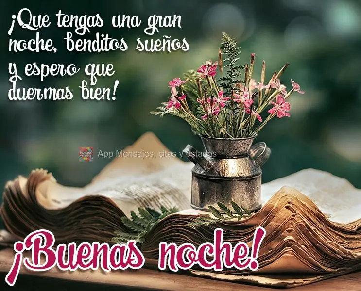 Tenha uma excelente noite com sonhos abençoados. Espero que durma bem! Boa noite!