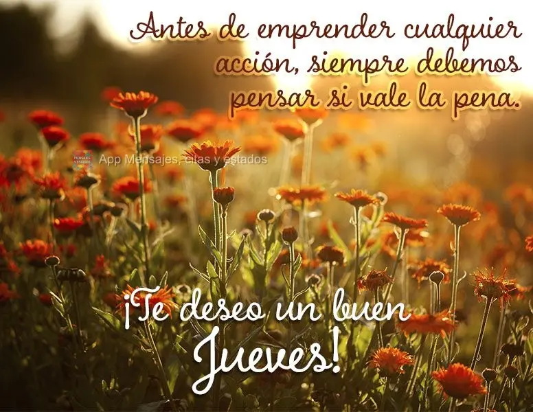 Antes de emprender cualquier acción, siempre debemos pensar si vale la pena. ¡Te deseo un buen jueves!