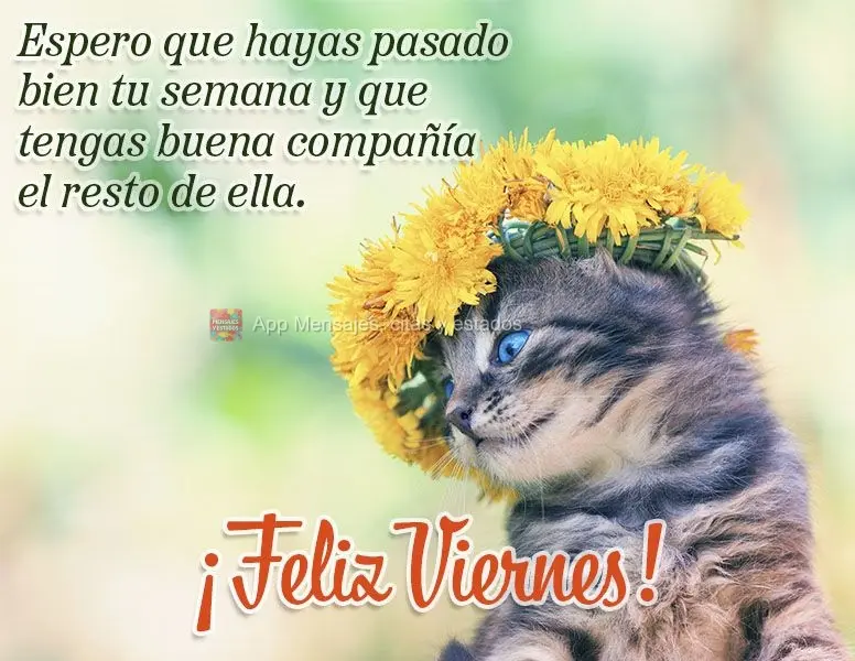 Espero que hayas pasado bien tu semana y que tengas buena compañía el resto de ella. ¡Feliz viernes!