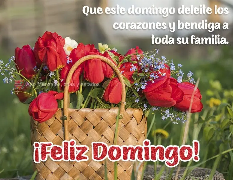 Que este domingo deleite los corazones y bendiga a toda su familia. ¡Feliz domingo!