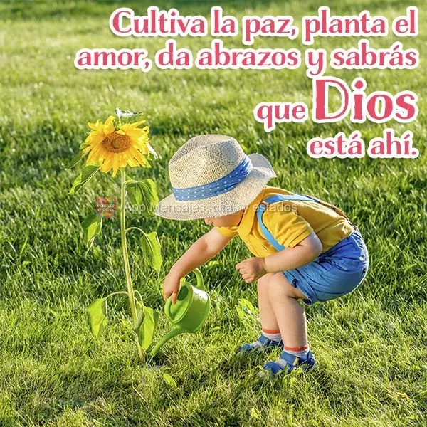 Cultiva la paz, planta el amor, da abrazos y sabrás que Dios está ahí.
