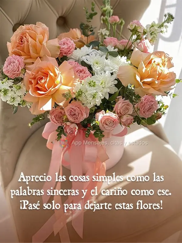 Aprecio las cosas simples como las palabras sinceras y el cariño como ese. ¡Pasé solo para dejarte estas flores!