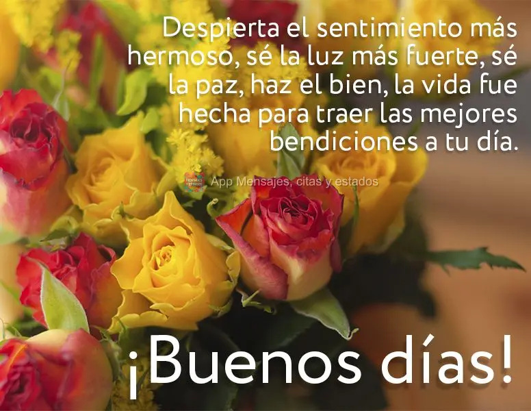 Desperte o sentimento mais bonito, seja a luz mais forte, seja paz, faça o bem. A vida foi feita para trazer as melhores bênçãos para o seu dia. Bom ...