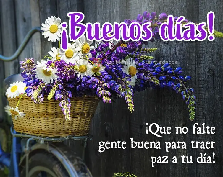 Que não falte pessoas de bem para trazer paz para o seu dia! Bom dia!