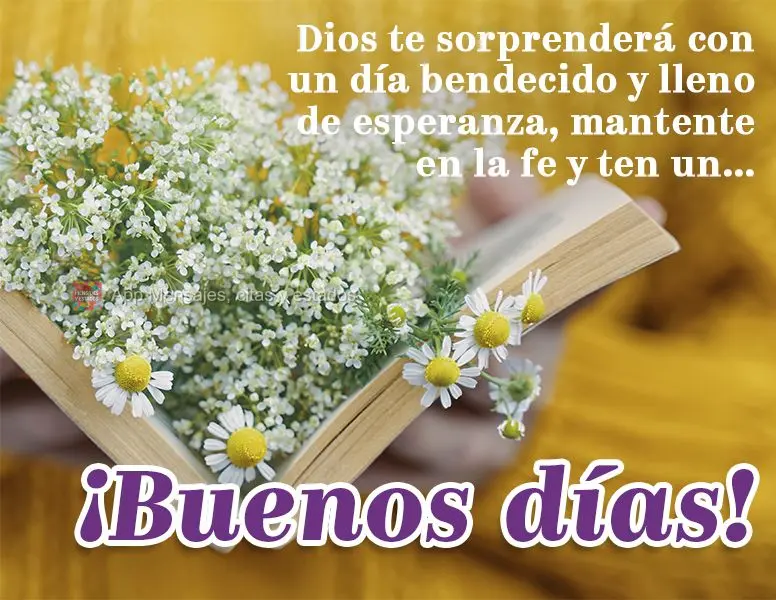 Dios te sorprenderá con un día bendecido y lleno de esperanza, mantente en la fe y ten un ... ¡Buenos días!