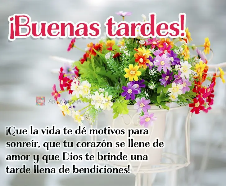 Que a vida lhe dê motivos para sorrir, que seu coração se encha de amor e que Deus lhe proporcione uma tarde cheia de bênçãos! Boa tarde!