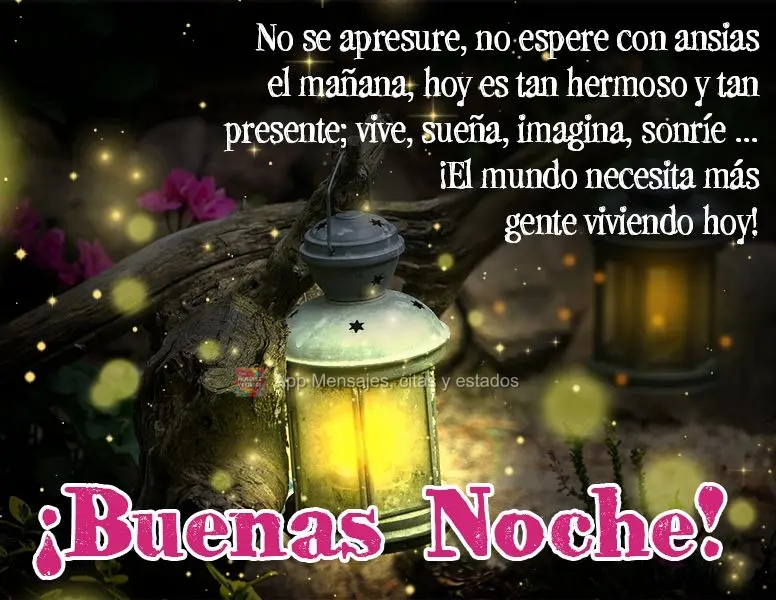 Não se apresse, não anseie por amanhã. O hoje é tão belo e tão presente; viva, sonhe, imagine, sorria...O mundo precisa de mais pessoas vivendo o h...