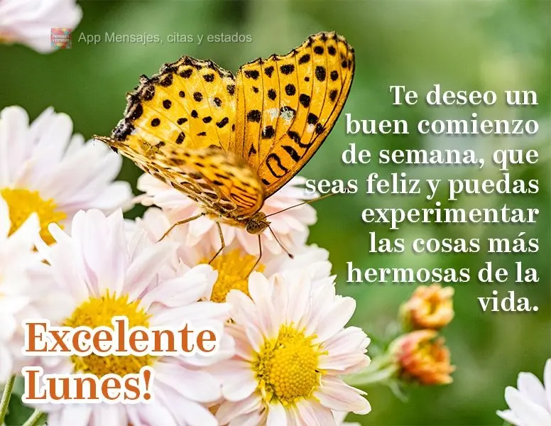 Te deseo un buen comienzo de semana, que seas feliz y puedas experimentar las cosas más hermosas de la vida. Excelente Lunes!
