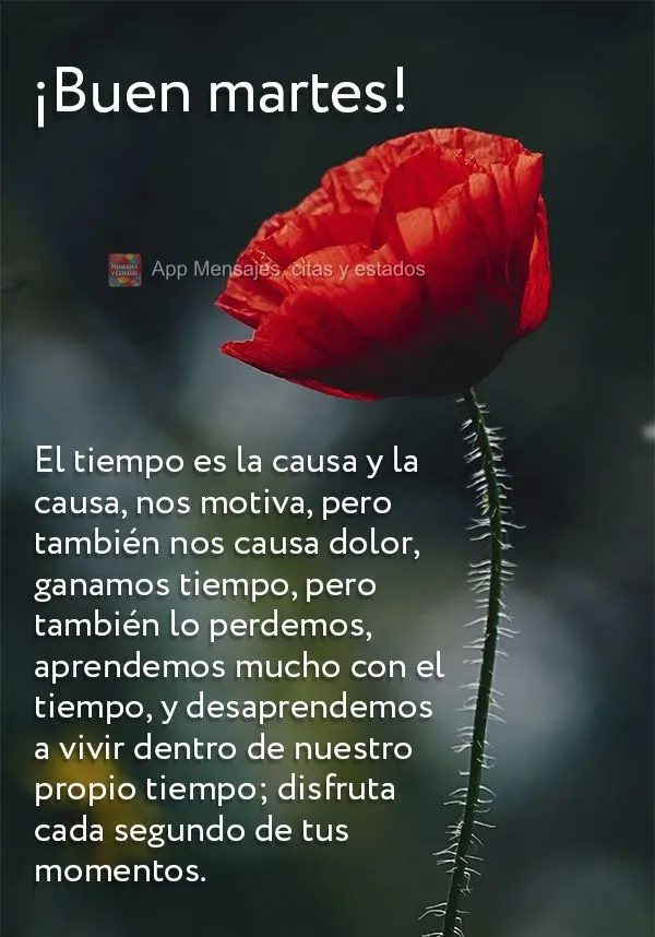 El tiempo es la causa y la causa, nos motiva, pero también nos causa dolor, ganamos tiempo, pero también lo perdemos, aprendemos mucho con el tiempo, y...