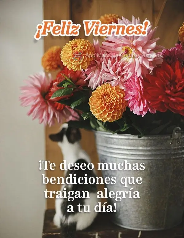 ¡Te deseo muchas bendiciones que traigan  alegría a tu día! ¡Feliz viernes!