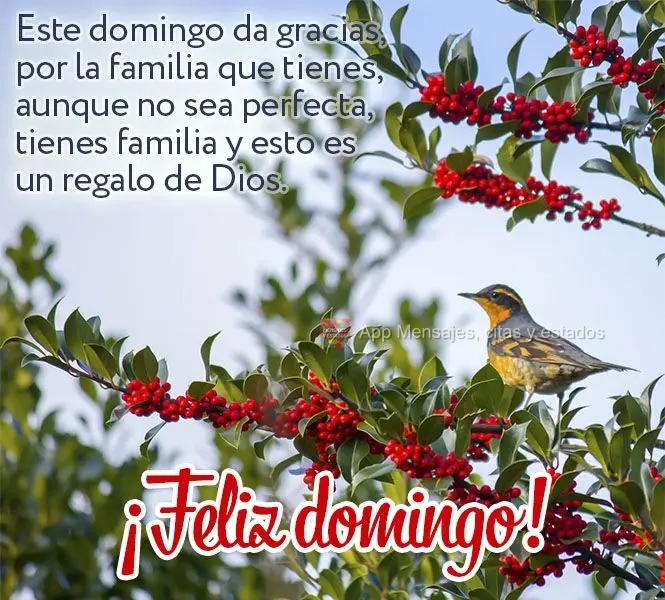 Este domingo da gracias, por la familia que tienes, aunque no sea perfecta, tienes familia y esto es un regalo de Dios. ¡Feliz domingo!