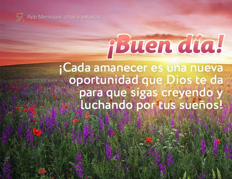 Todo amanhecer é uma nova oportunidade que Deus te dá para que você continue acreditando e lutando pelos seus sonhos! Bom dia!