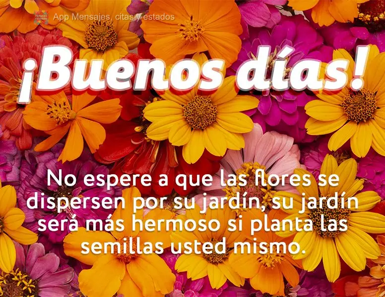 Não espere por flores para regar o seu jardim, seu jardim será mais bonito se você mesmo plantar as suas sementes. Bom dia!