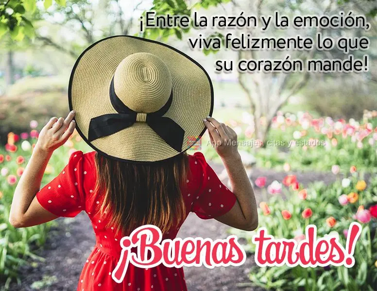 Entre a razão e a emoção, viva alegremente o que manda o coração! Boa tarde!