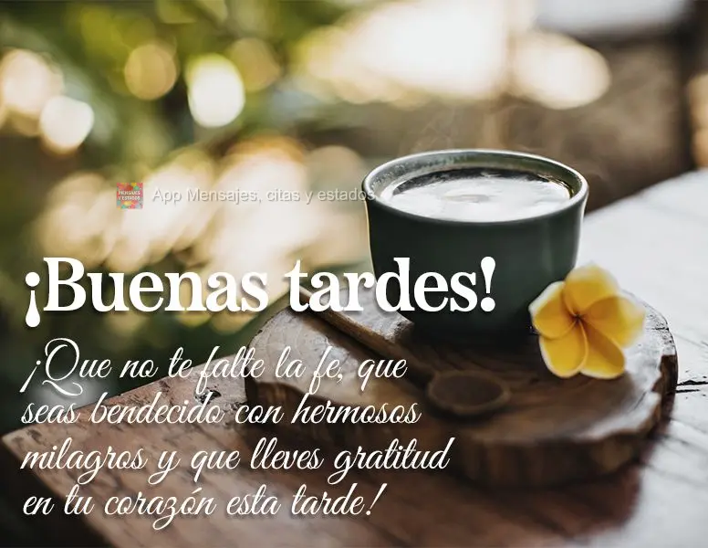 Que não lhe falte fé nesta tarde, que você seja abençoado com lindos milagres e que possa carregar gratidão em seu coração! Boa tarde!