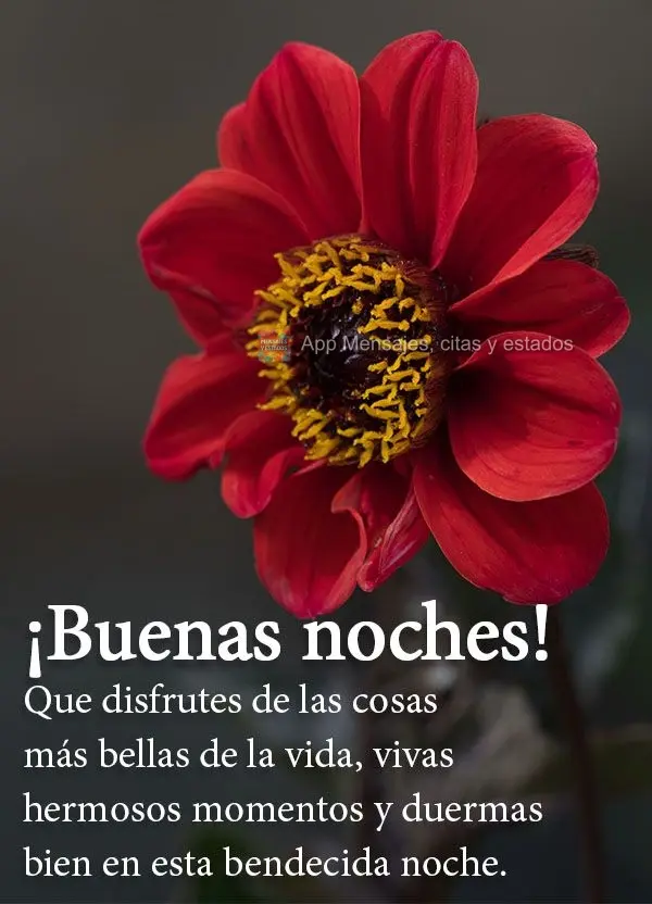 Que disfrutes de las cosas más bellas de la vida, vivas hermosos momentos y duermas bien en esta bendecida noche. ¡Buenas noches!